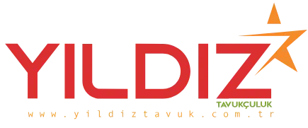 YILDIZ TAVUK